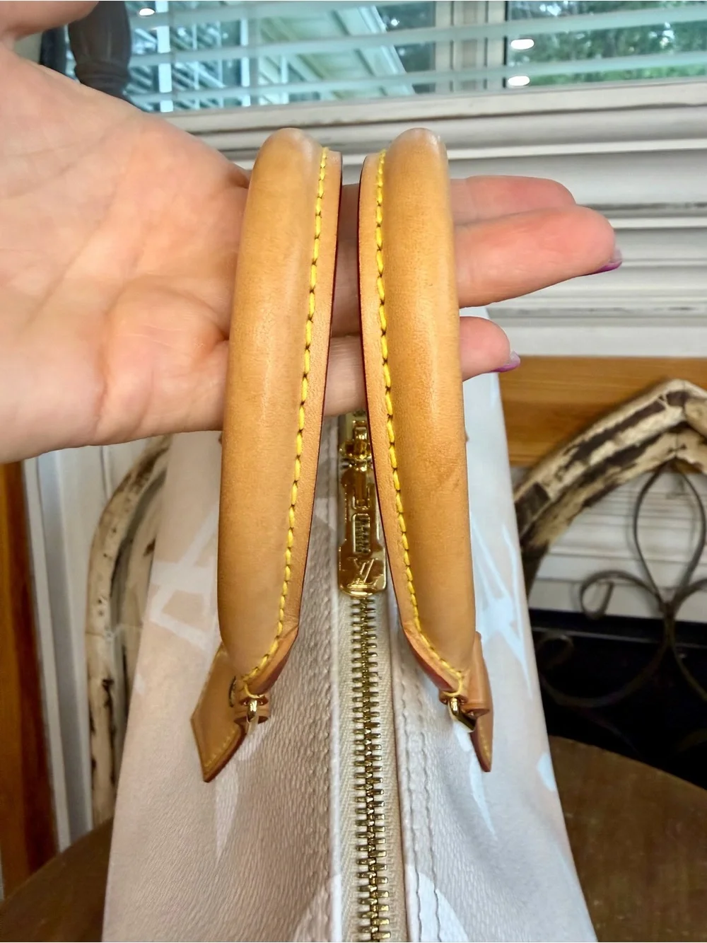 Louis Vuitton Speedy 25 By the Pool in Mist Speedy Bandoulière